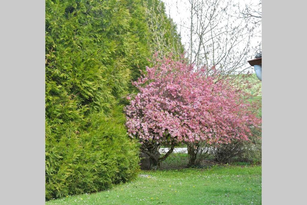 Villa Domaine Des Montots Tanlay Esterno foto